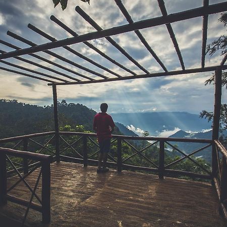 After The Rains - Rainforest Lodge Meppadi Bagian luar foto