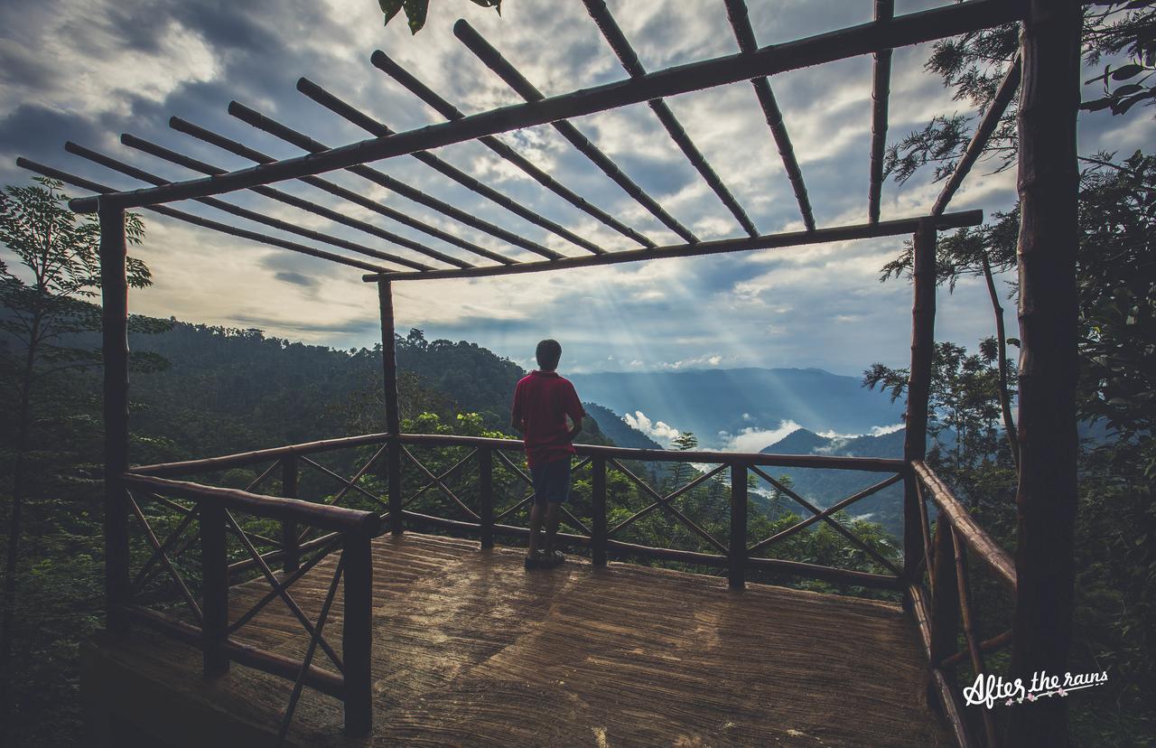 After The Rains - Rainforest Lodge Meppadi Bagian luar foto