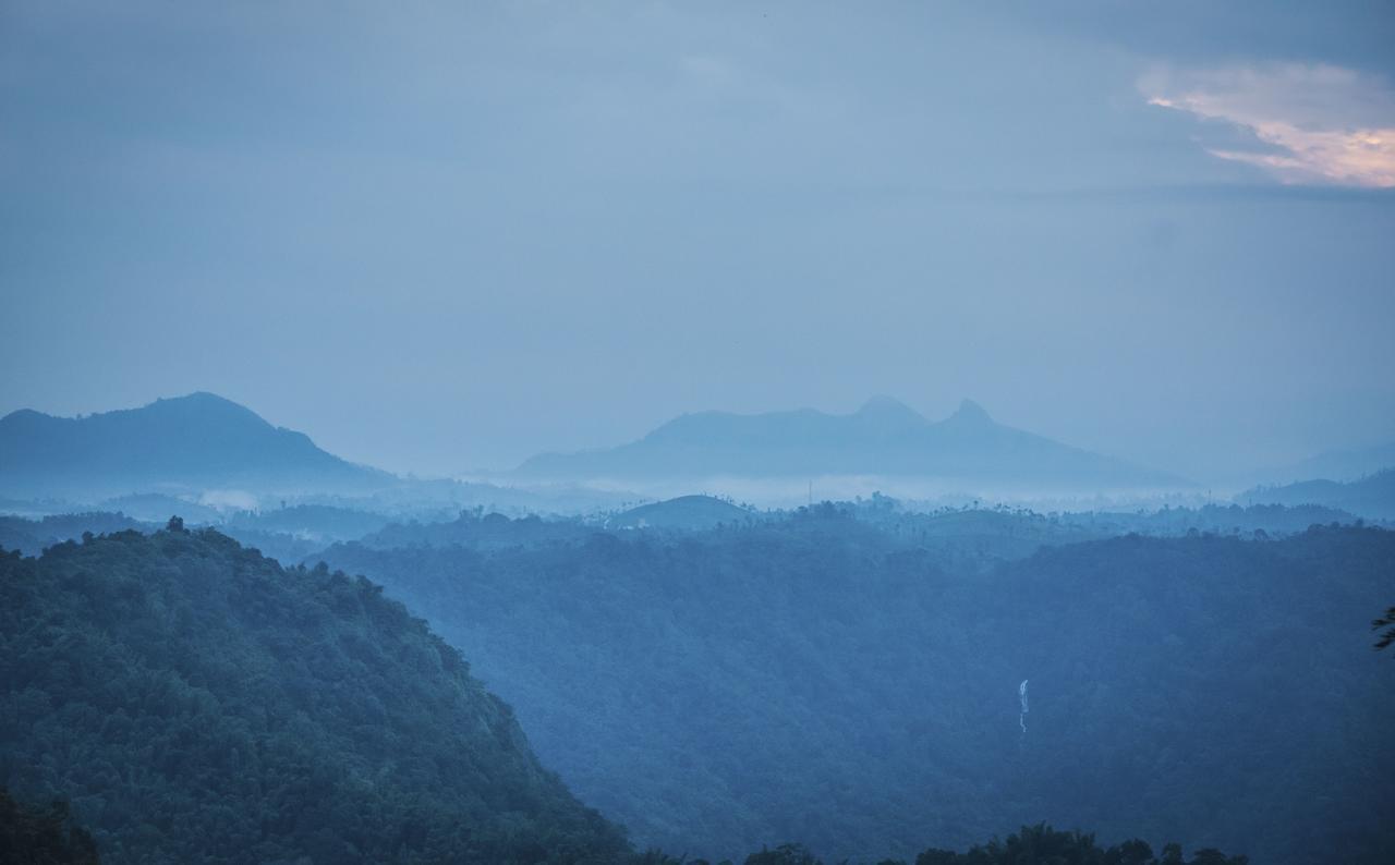 After The Rains - Rainforest Lodge Meppadi Bagian luar foto