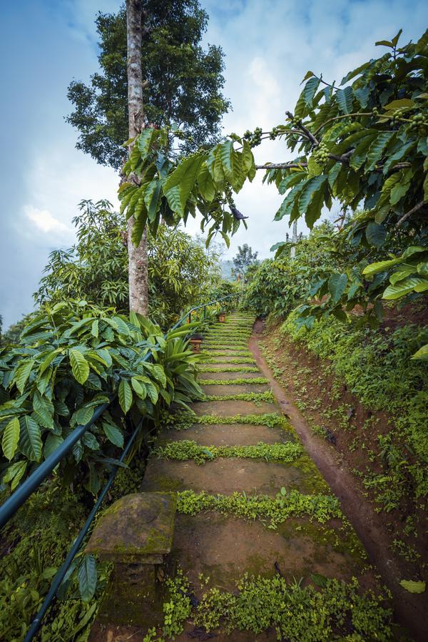 After The Rains - Rainforest Lodge Meppadi Bagian luar foto